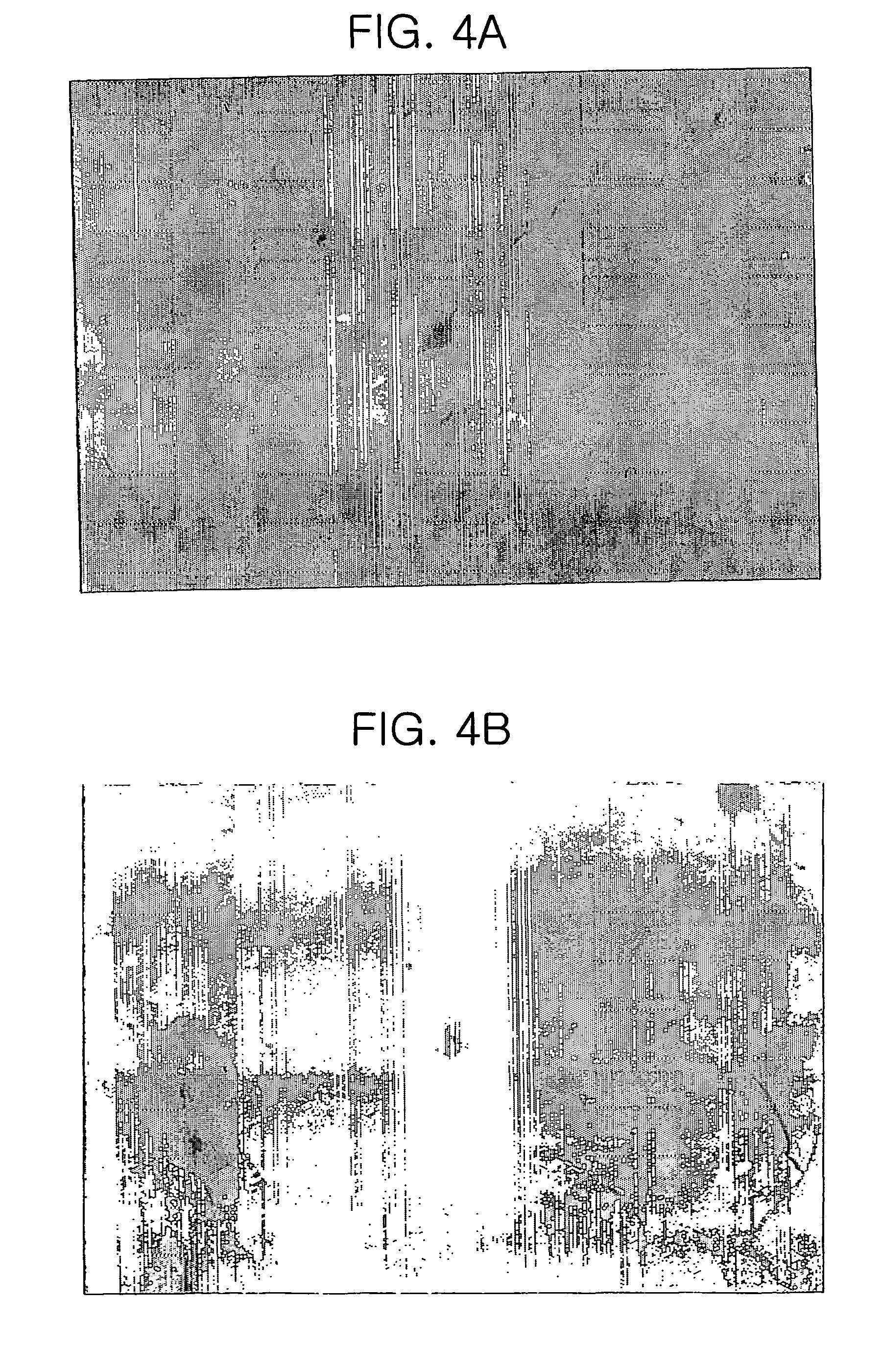 Method for differentiating mesenchymal stem cells into neural cells