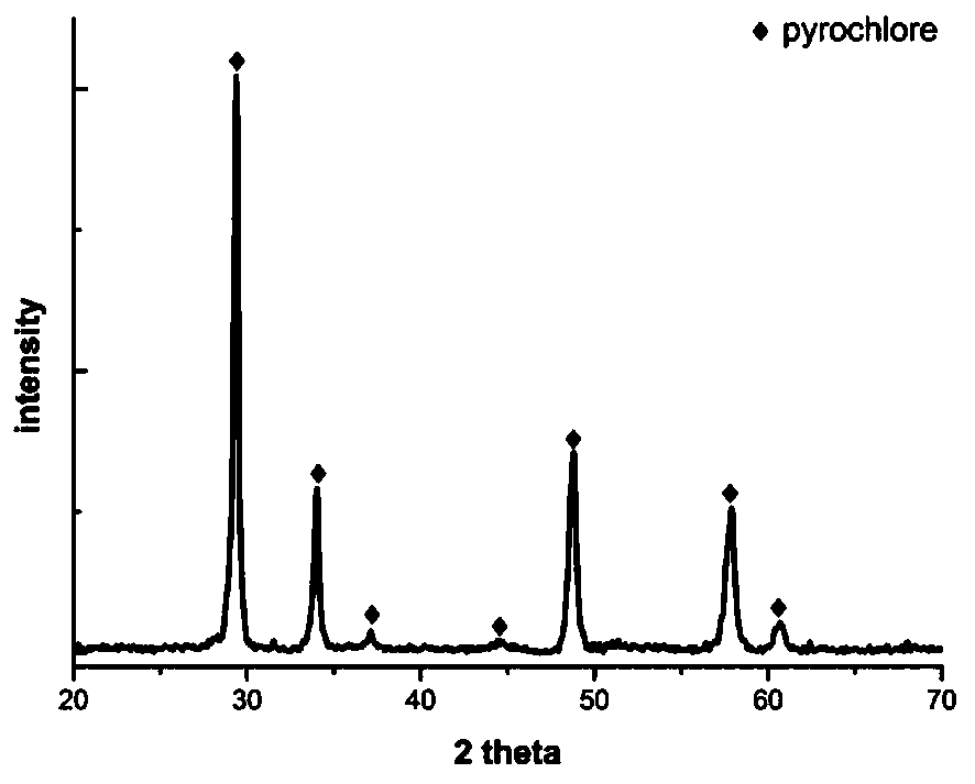 Method for rapidly curing nuclides at low temperature with assistance of electric field