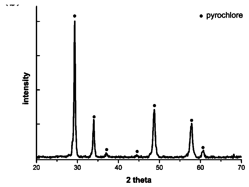 Method for rapidly curing nuclides at low temperature with assistance of electric field