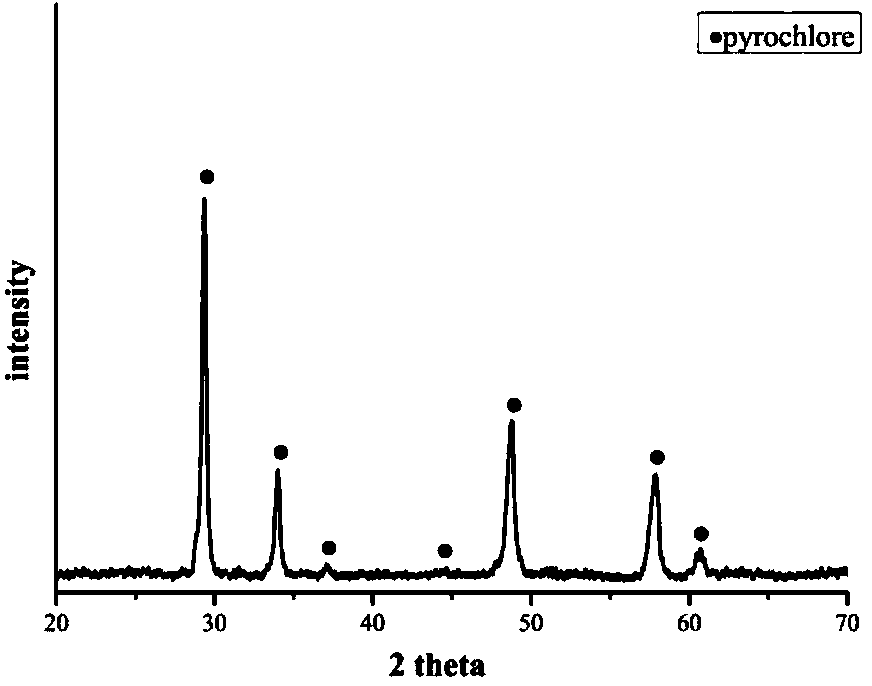 Method for rapidly curing nuclides at low temperature with assistance of electric field