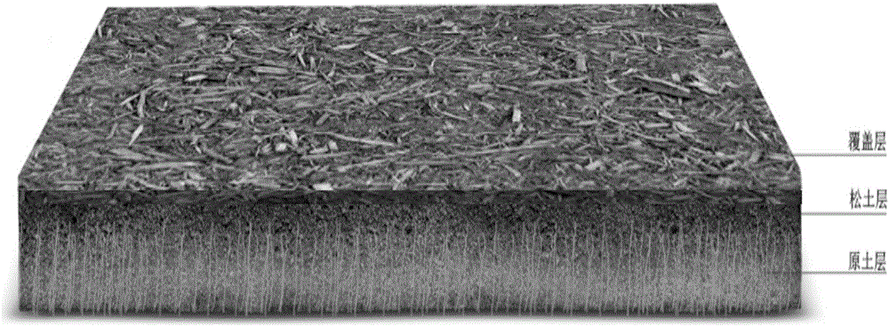 Organic ground surface covering method suitable for saline-alkali soil urban garden greenbelt