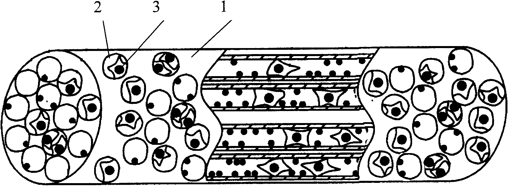 Tissue engineering bone implant and method for constructing the same