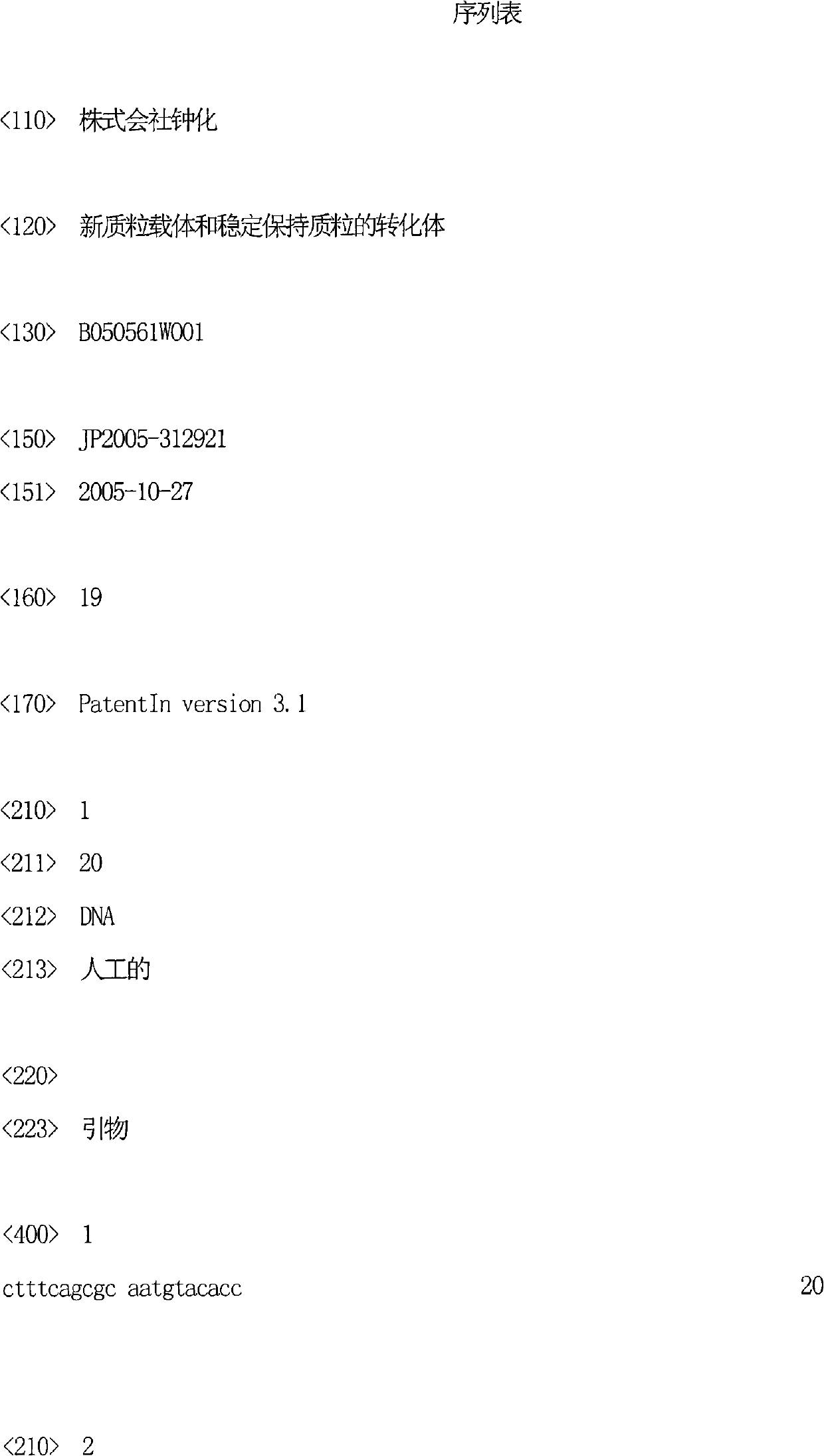 Novel plasmid vector and transformant capable of carrying plasmid stably