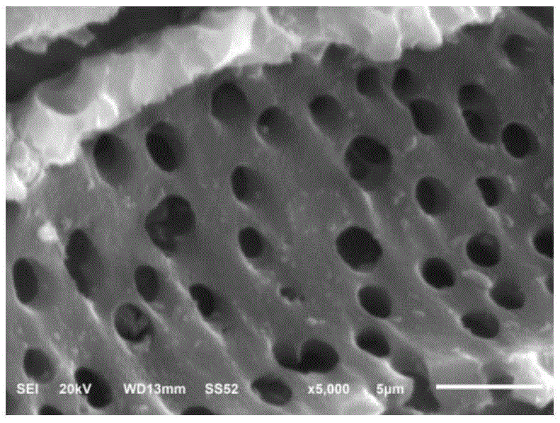 Preparation method of active carbon loaded catalyst for electrochemically catalyzing and degrading organic wastewater