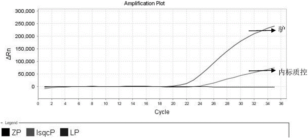 Nest-type fluorescence PCR detection primers, probe composition and kit for donkey and pig-sourced ingredients in colla corii asini and detection method and application