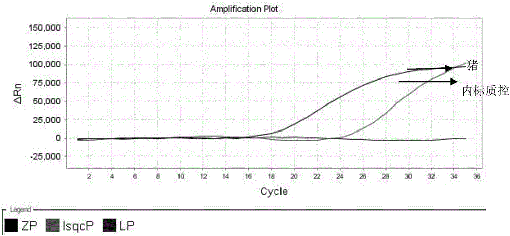 Nest-type fluorescence PCR detection primers, probe composition and kit for donkey and pig-sourced ingredients in colla corii asini and detection method and application