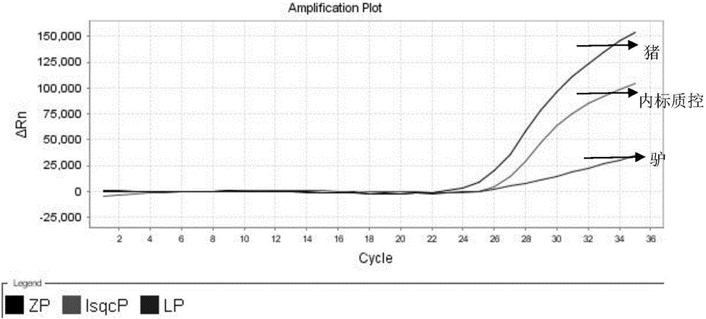 Nest-type fluorescence PCR detection primers, probe composition and kit for donkey and pig-sourced ingredients in colla corii asini and detection method and application