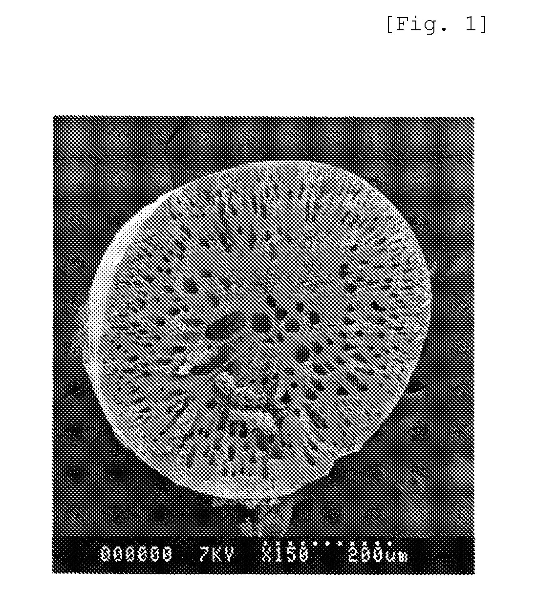 Porous Molded Article, and Method for Manufacturing the Same