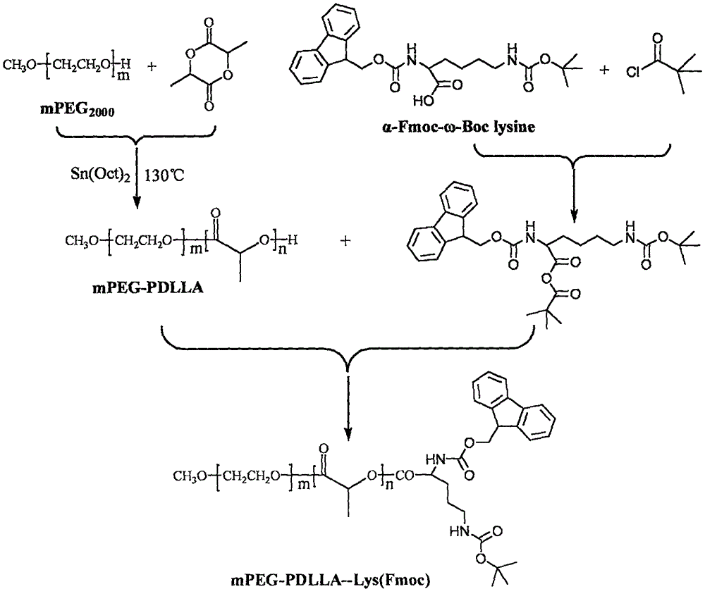 Curcumin-containing polymeric micelle drug delivery system and preparation method and application thereof