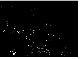 Method for preparing medical implant material multi-hole tantalum