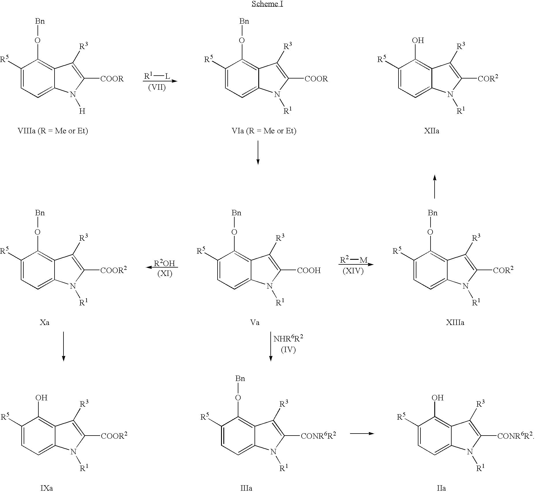 Positive modulators of nicotinic receptor agonists