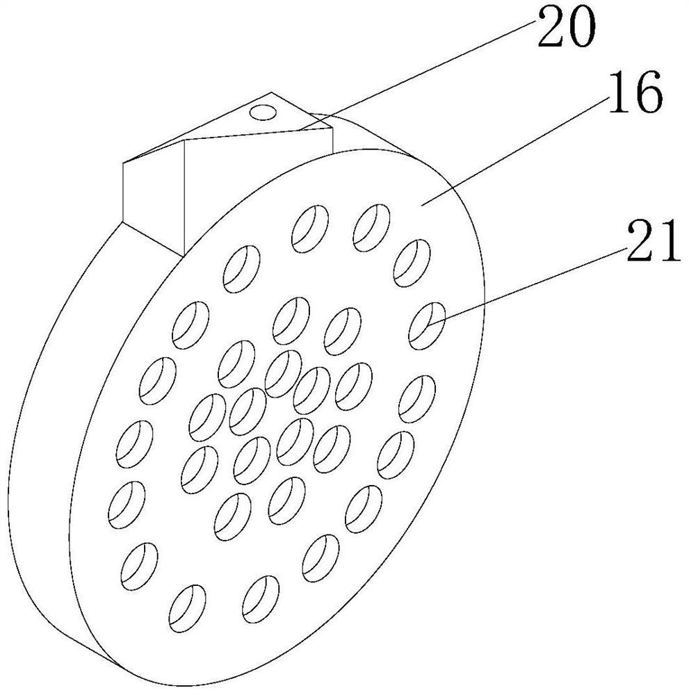 Alpinia zerumbet cleaning device