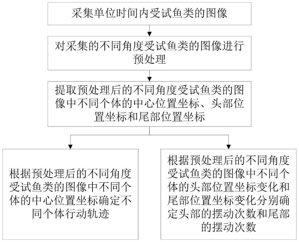 Water toxicity biological monitor and monitoring method