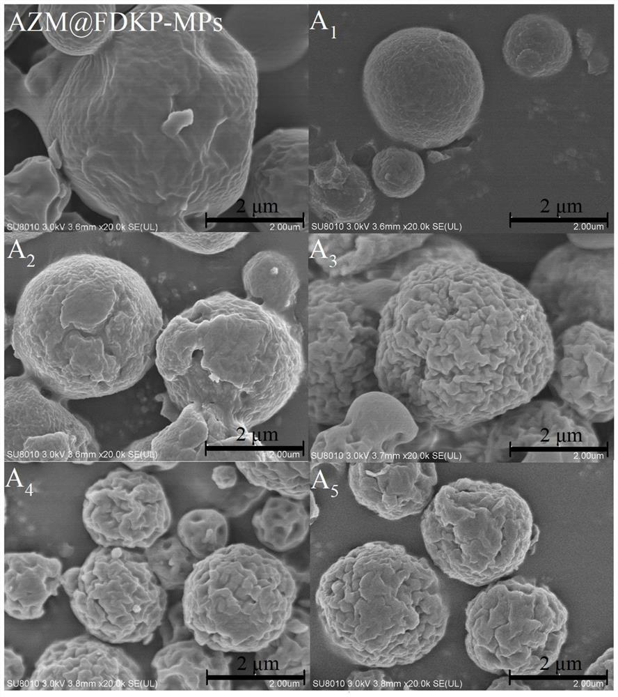 Inhalable effervescent powder mist and its application in the preparation of infectious pneumonia medicine