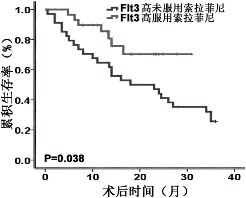 Applications of Flt3 protein in preparation of kit for evaluating liver cancer treating effect of sorafenib