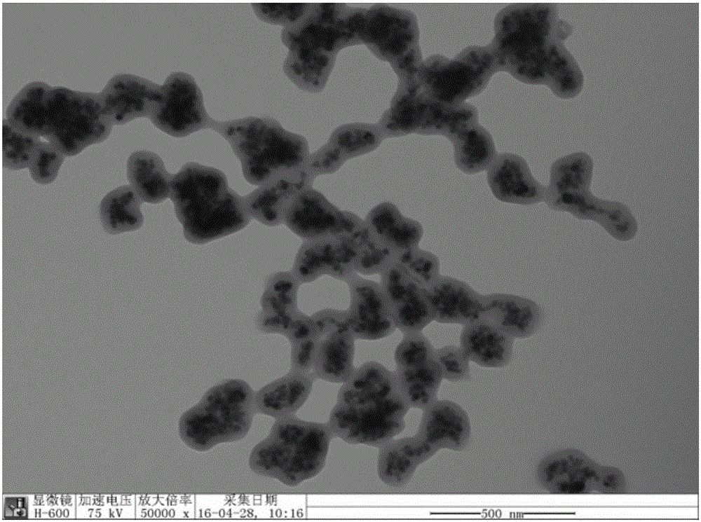 Magnetic molecularly imprinted material for identifying chlorophyll, preparation method of material and application