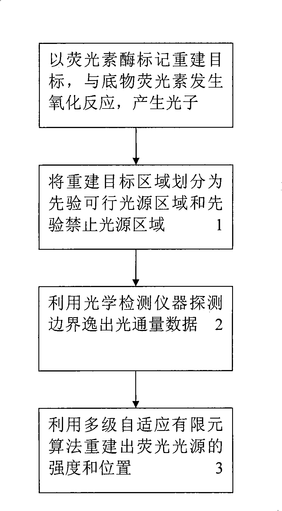 Self-adaption finite element light source reconstruction method based on simple spectrum or mix segment measurement