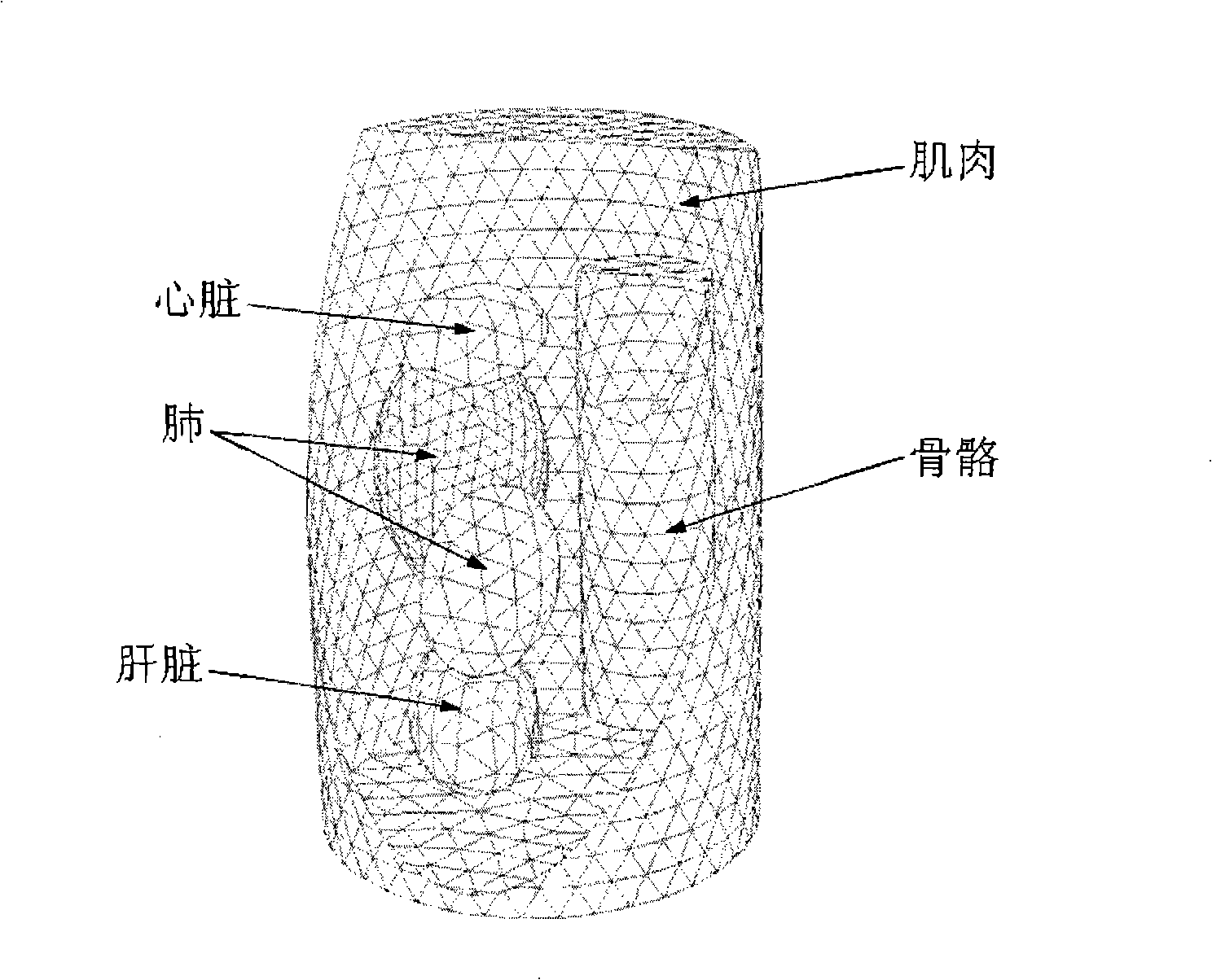 Self-adaption finite element light source reconstruction method based on simple spectrum or mix segment measurement