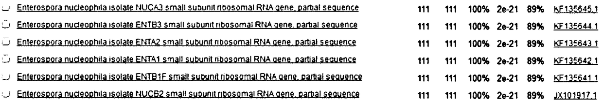 High-sensitivity target gene for enterocytozoon hepatopenaei disease, primer pair, kit and detection method