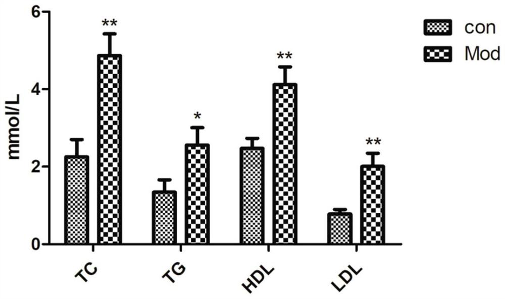 Non-alcoholic fatty liver animal model and establishment method