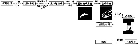 Microenvironment construction method for three dimensional culture of cells and application