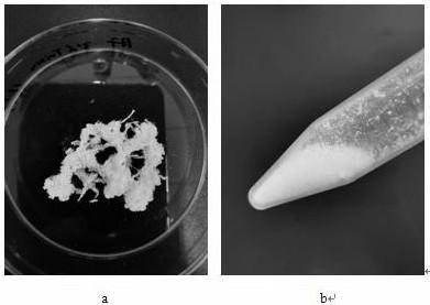 Microenvironment construction method for three dimensional culture of cells and application