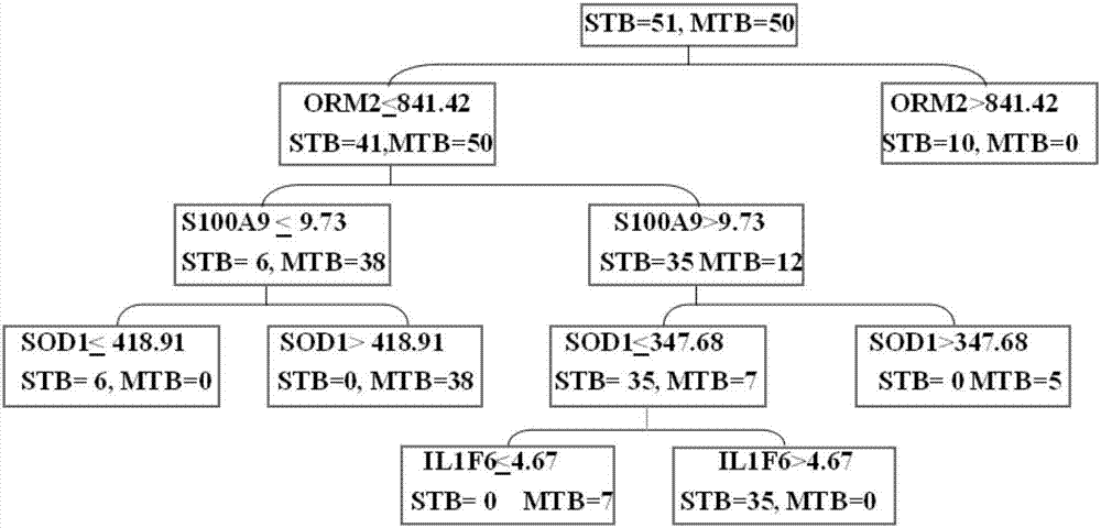 Protein markers assisting diagnosis of severe secondary pulmonary tuberculosis