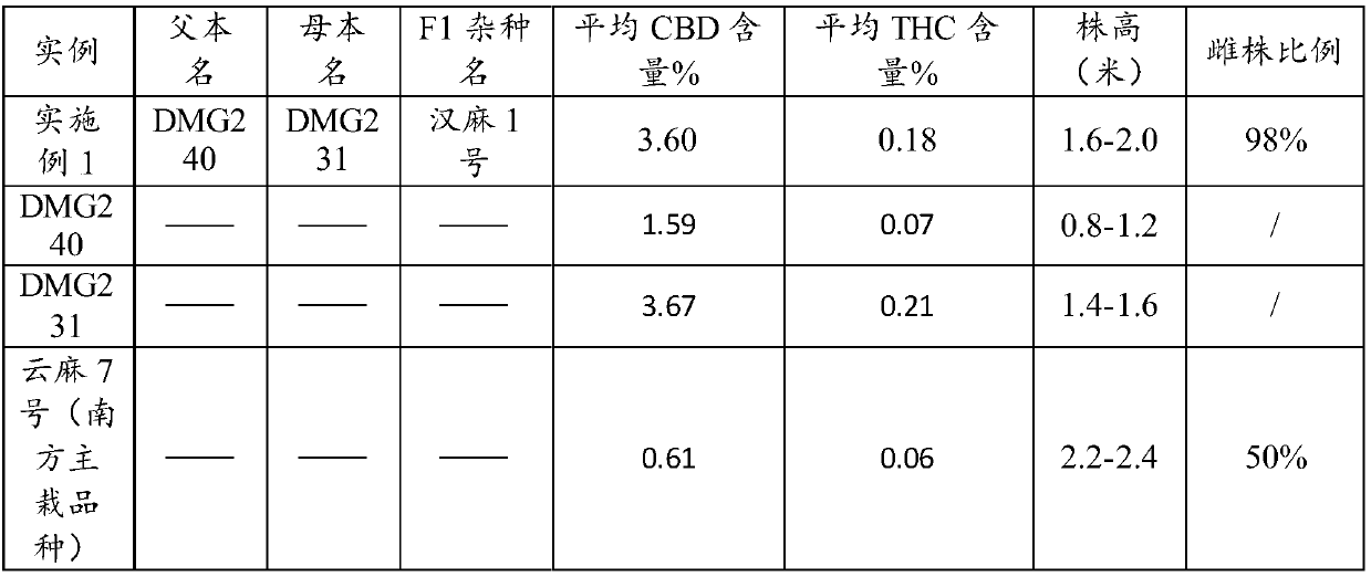 Crossbreeding method of industrial hemp