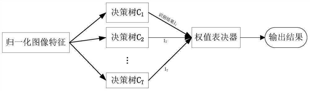 An automatic detection method for insulator anomalies based on integrated classifier online learning