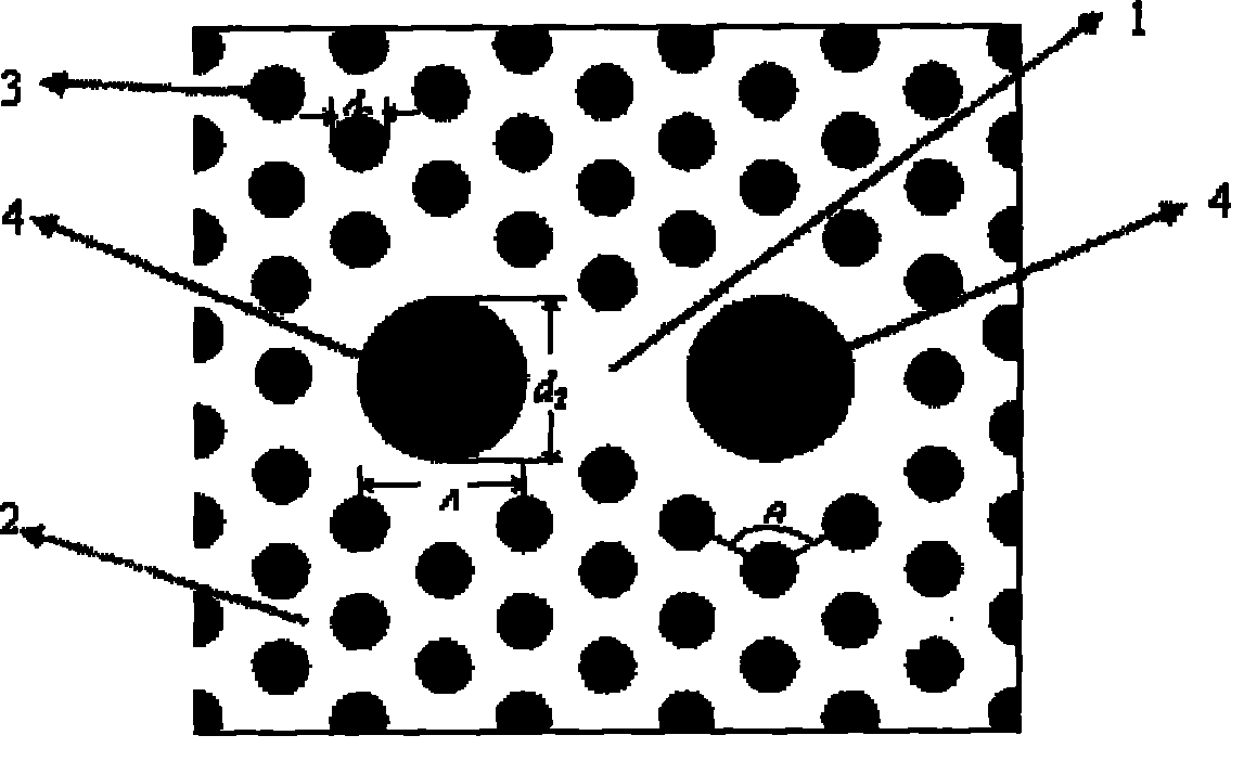 Panda type high double-refraction photon crystal fiber