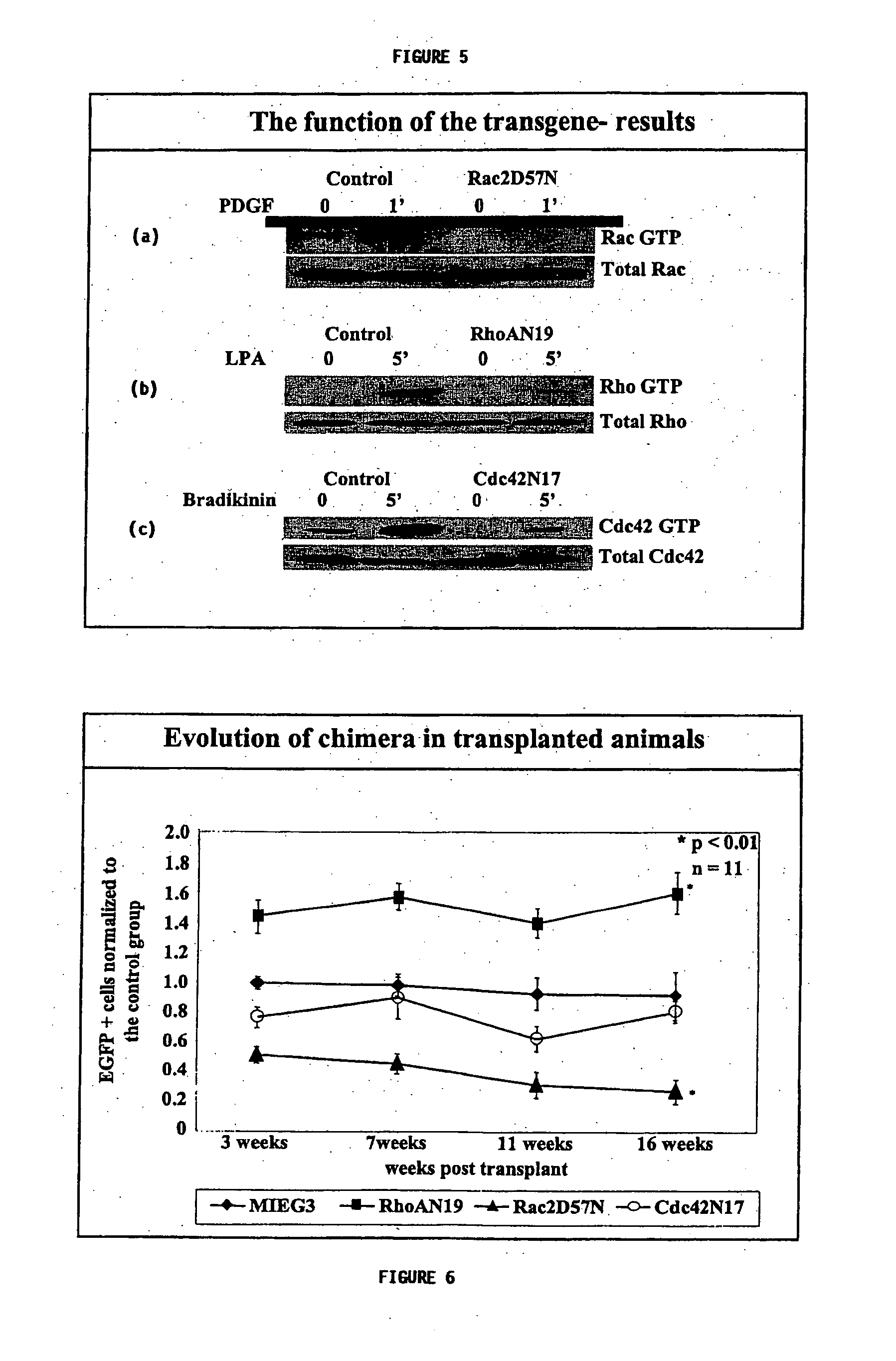 Methods of enhancing stem cell engraftment