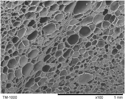 Preparation method of halogen-free flame-retardant polypropylene foam material