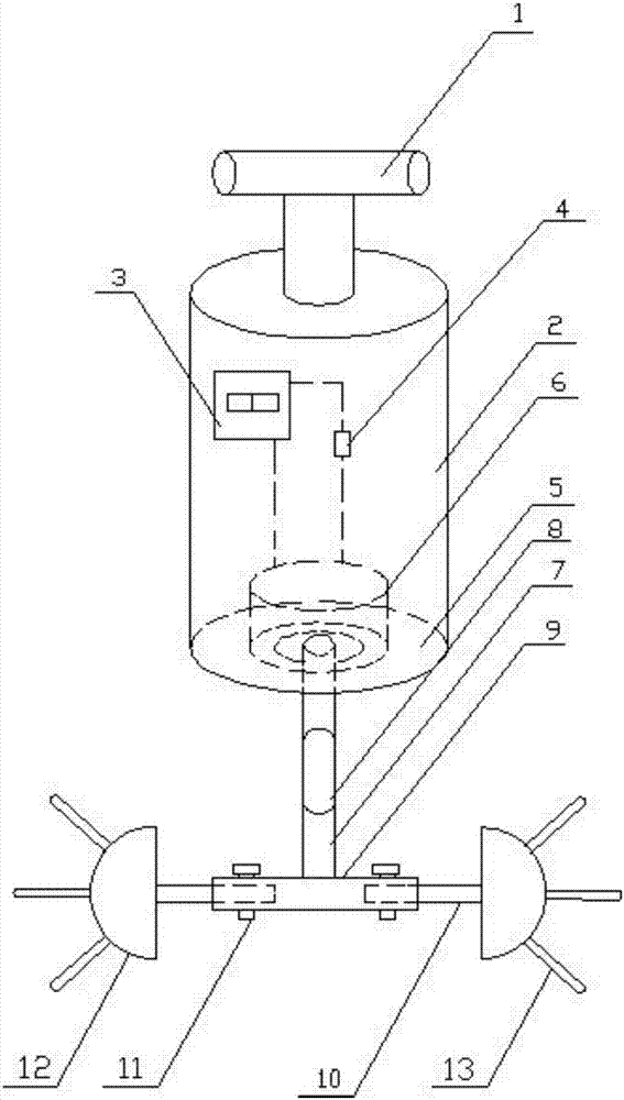 Solid phase microextraction device of echinoid fiber balls