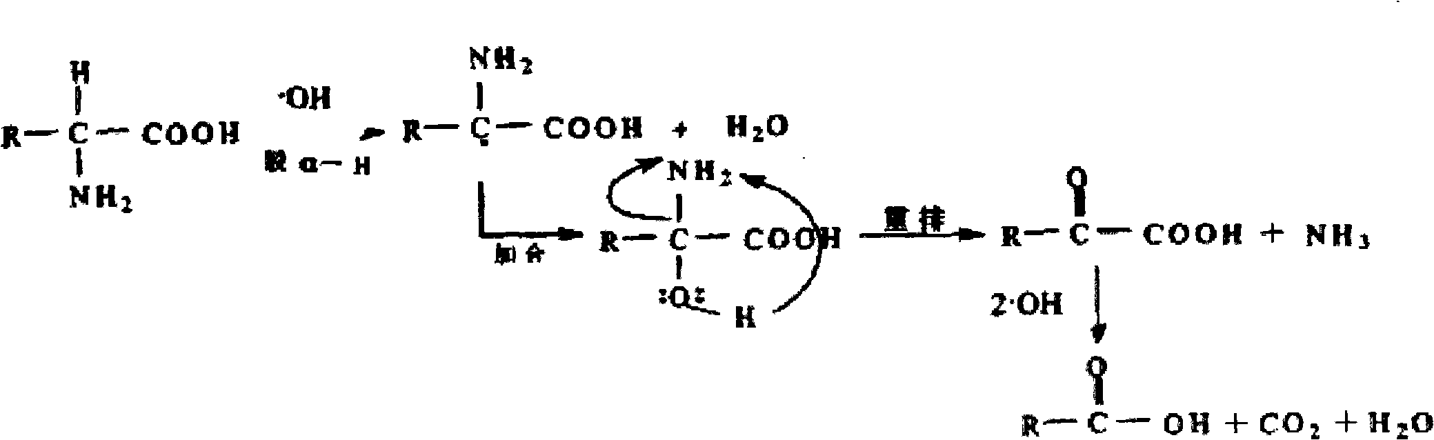 Device for treating ship ballast water