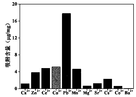 Magnetic graphite phase carbon nitride material, and preparation method and applications thereof