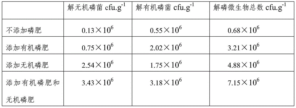 A kind of phosphorus-dissolving bacteria-induced fertilizer for improving the availability of phosphorus in acidic soil and its application