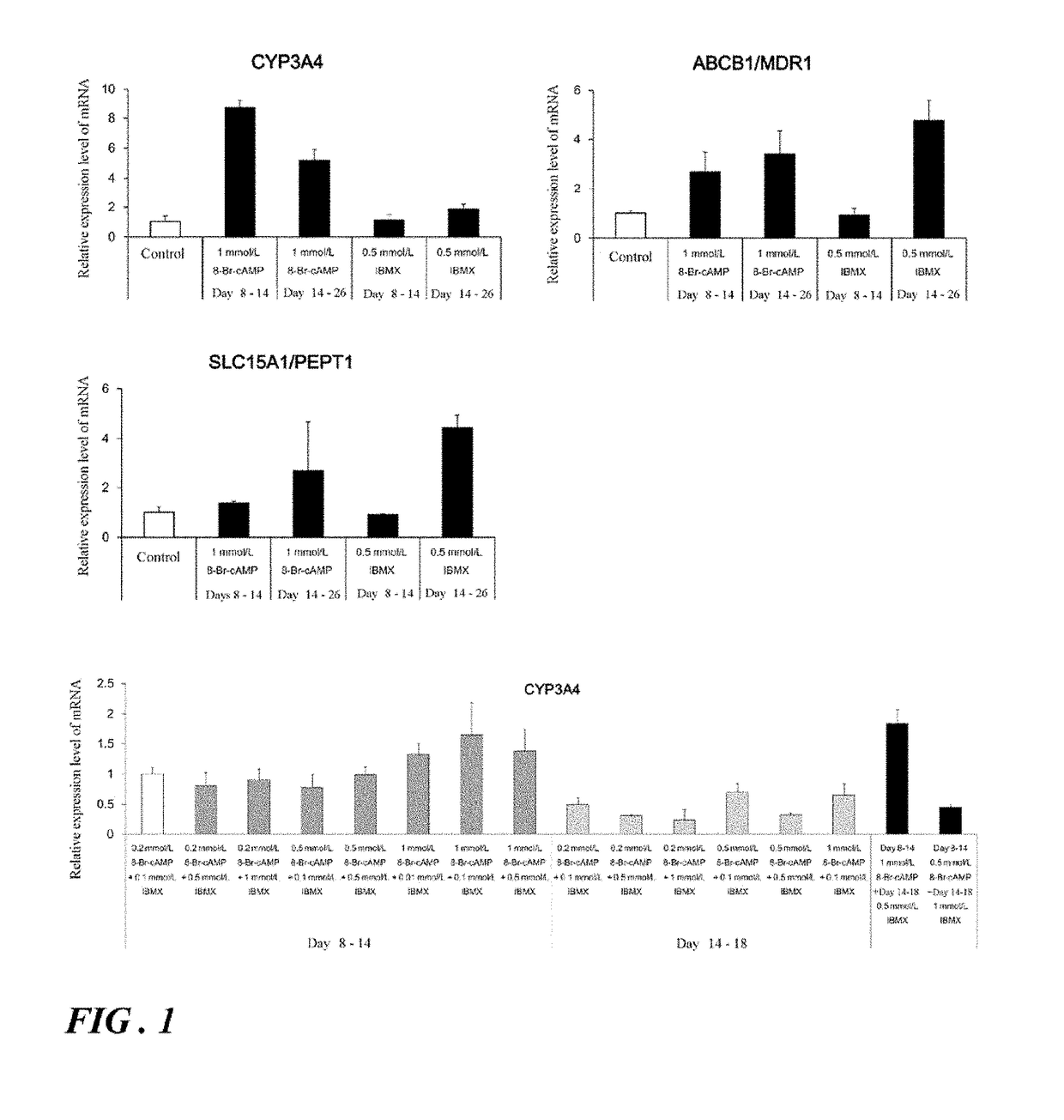 Induction of differentiation of induced pluripotent stem cells into intestinal epithelial cells