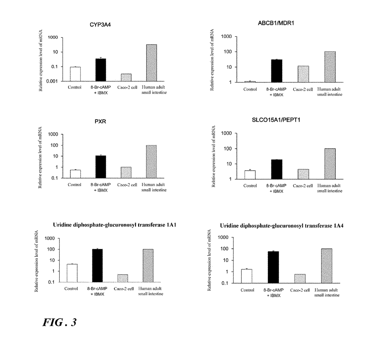 Induction of differentiation of induced pluripotent stem cells into intestinal epithelial cells