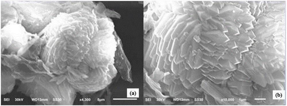 Novel composite material for drug carrier, as well as preparation method and application thereof