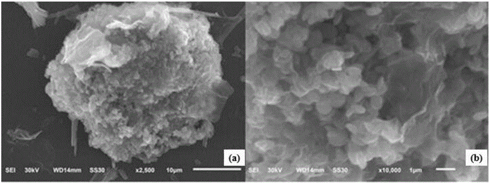 Novel composite material for drug carrier, as well as preparation method and application thereof