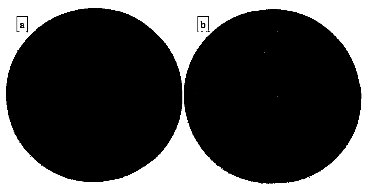 Aramid fiber reinforced carbon fiber resin prepreg and preparation method thereof