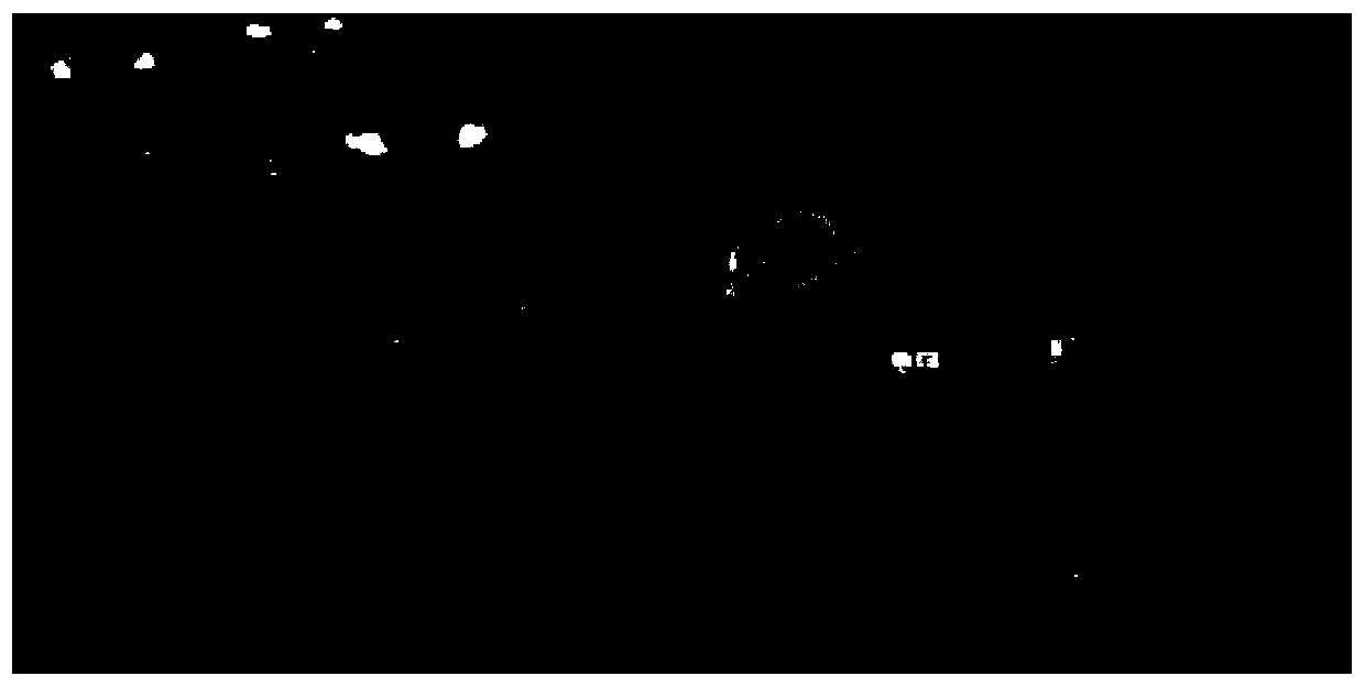 Moving target rapid detection method based on sequence images and computer vision system