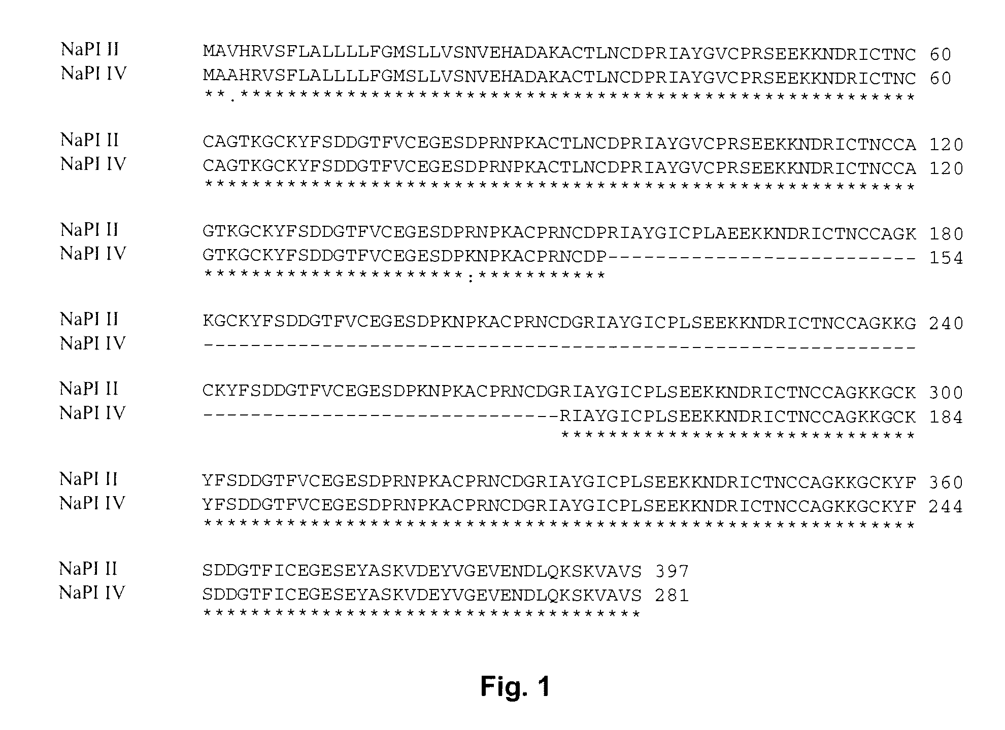 Multi-gene expression vehicle