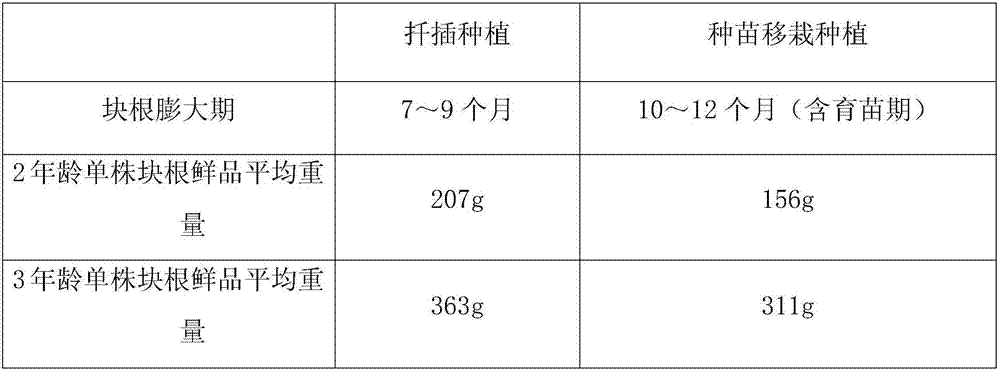 High-altitude-area field planting method of radix tetrastigme