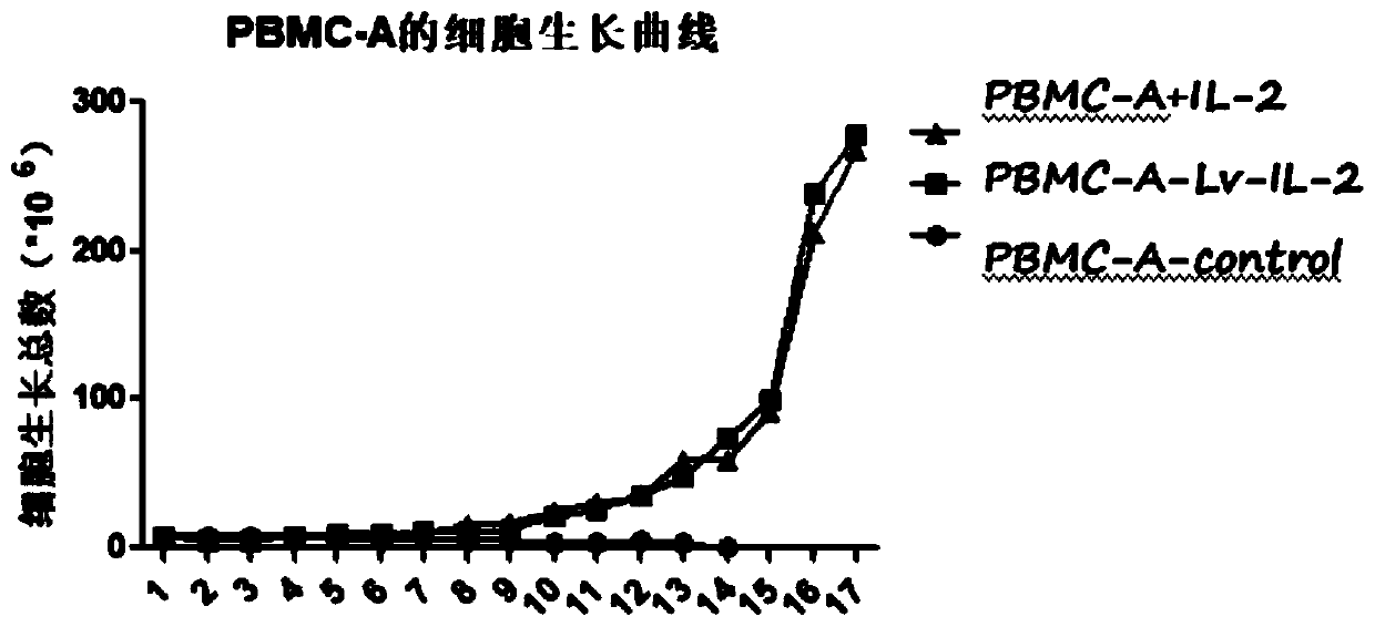 Culture method of SNK cells