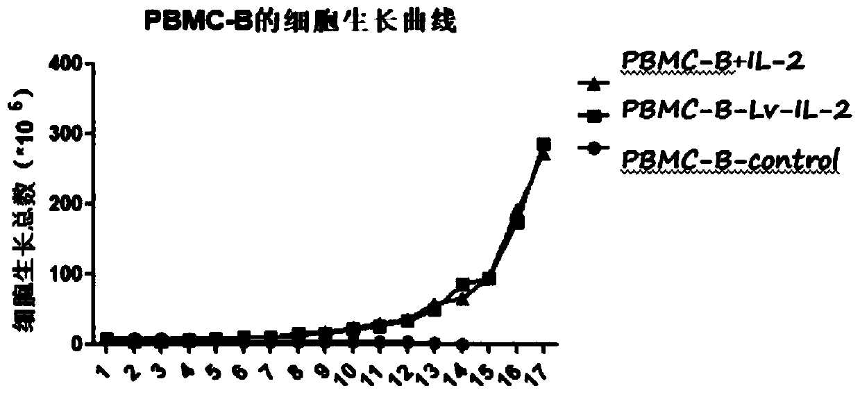 Culture method of SNK cells