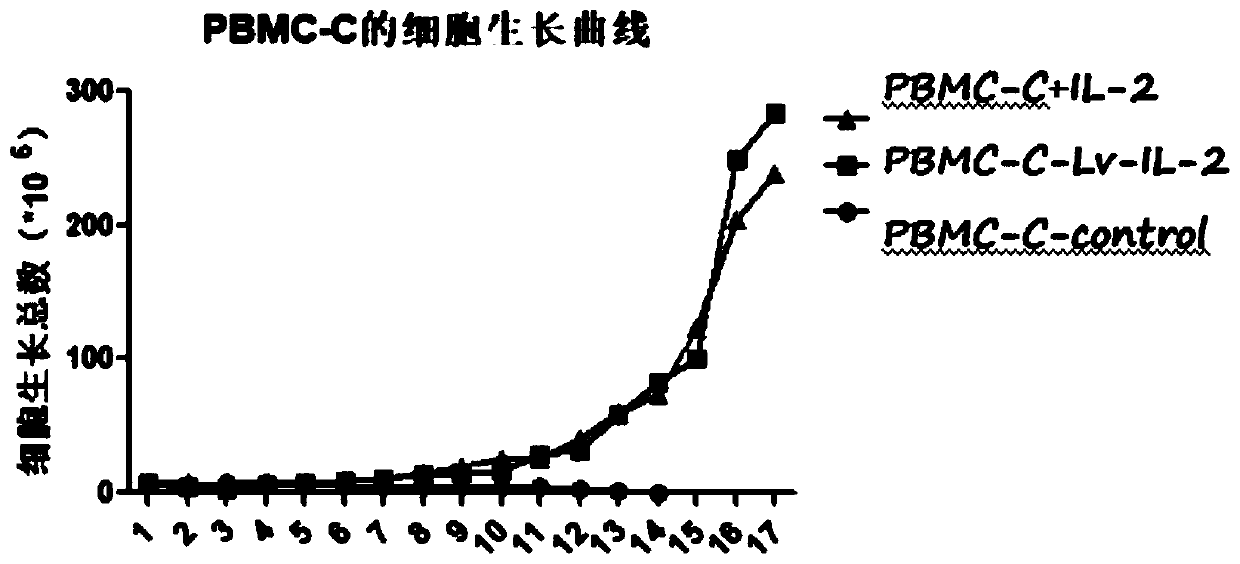 Culture method of SNK cells