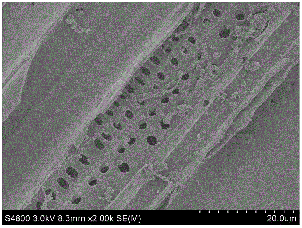 Method for preparing biochar/ammonium vanadate lithium ion cell cathode material