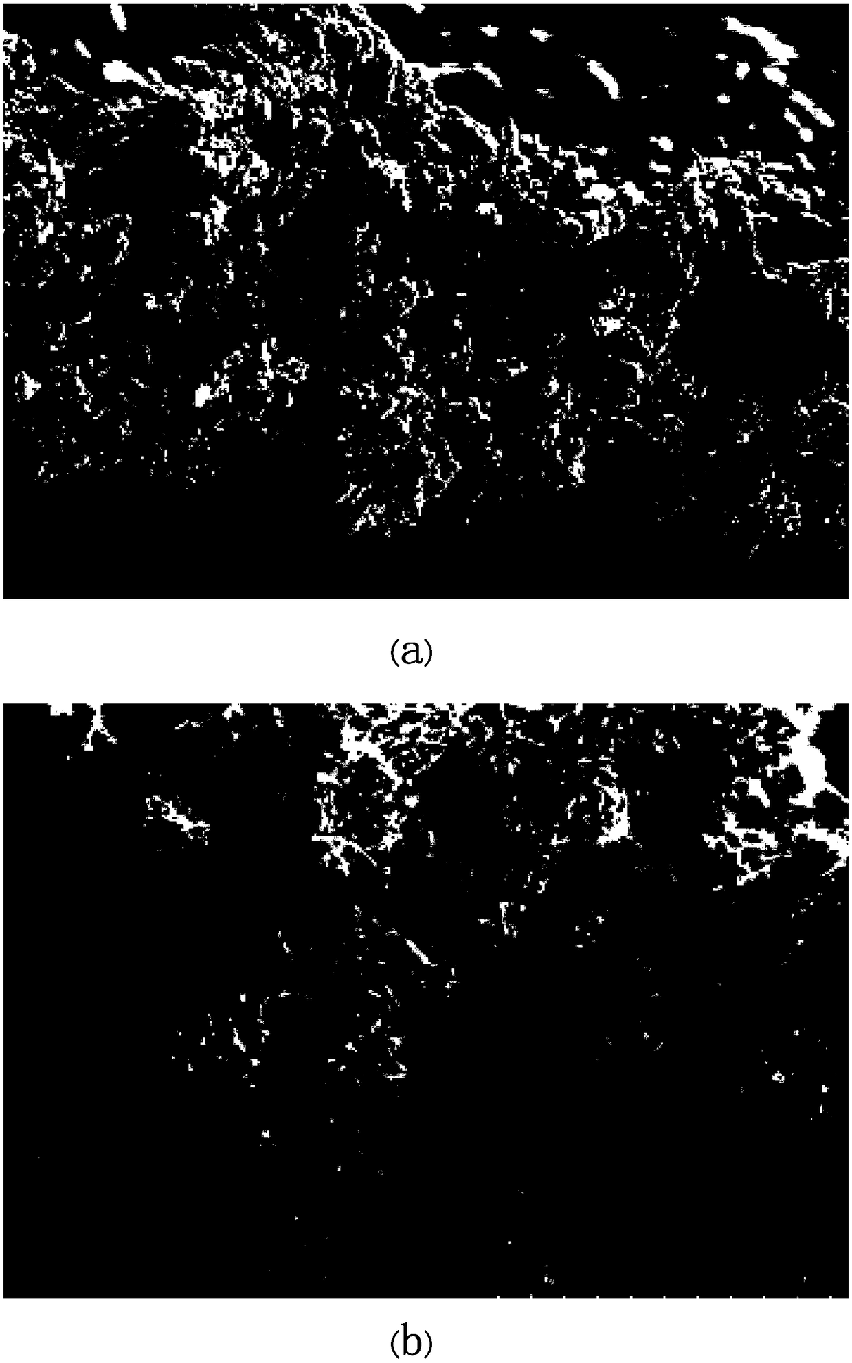 Preparation method of rolled copper light-shielding ring sheet, and rolled copper light-shielding ring sheet