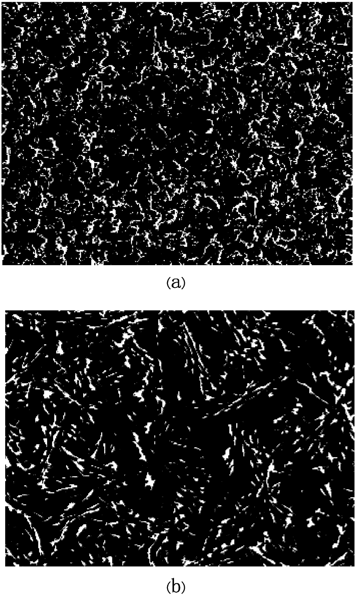 Preparation method of rolled copper light-shielding ring sheet, and rolled copper light-shielding ring sheet